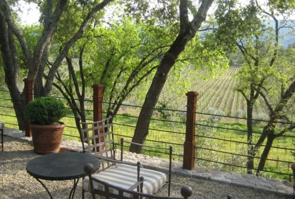 Modern Barn with Vineyard Views - St. Helena, California