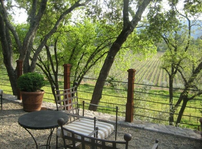 Modern Barn with Vineyard Views - St. Helena, California