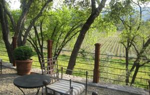 Modern Barn with Vineyard Views - St. Helena, California