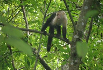 Casa Alta Vista - Dominical, Costa Rica