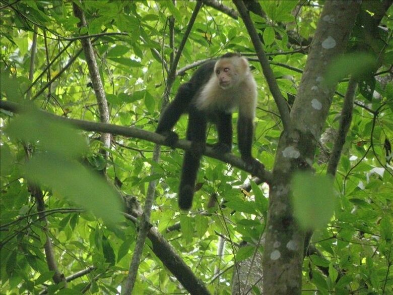 Casa Alta Vista - Dominical, Costa Rica
