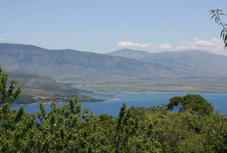 Peaceful, Private Greek House set in Olive Groves - Corfu, Greece