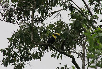 Oceanfront Luxury Vacation Suite in Private Jaco Resort - JACO BEACH, Costa Rica