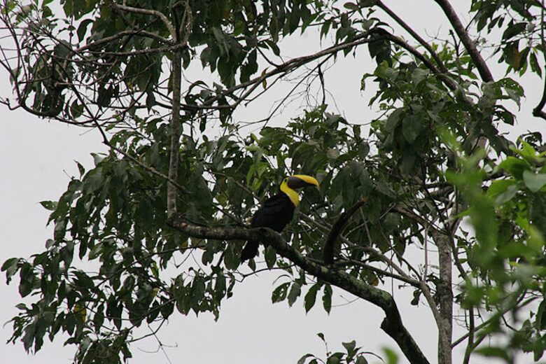 Oceanfront Luxury Vacation Suite in Private Jaco Resort - JACO BEACH, Costa Rica