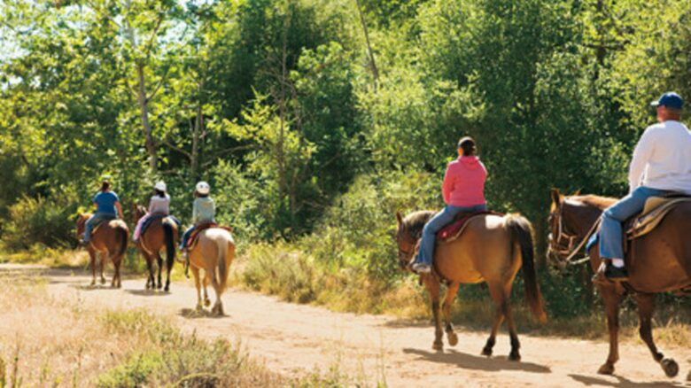 The Grand Del Mar - San Diego, California