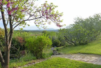 Beautiful French Farmhouse in Provence - Aups, France