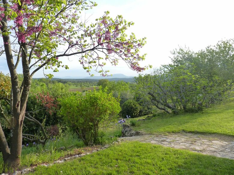 Beautiful French Farmhouse in Provence - Aups, France