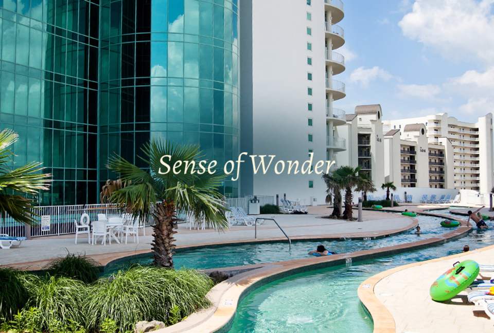 Turquoise Place, Orange Beach - Orange Beach, Alabama