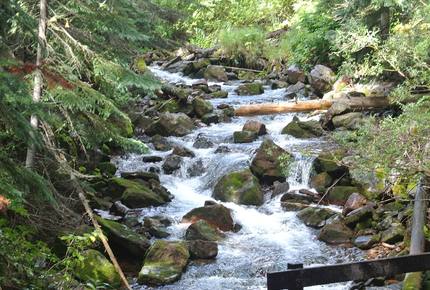 Romantic Aspen Hideaway - Aspen, Colorado