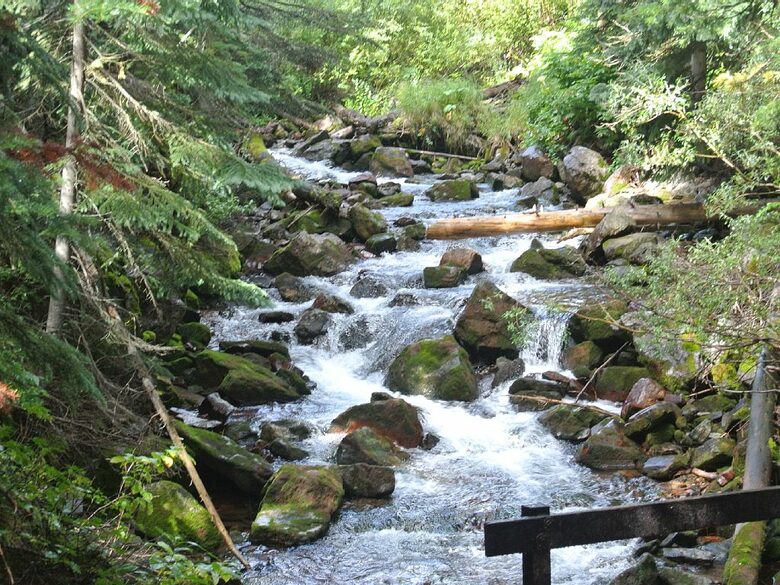 Romantic Aspen Hideaway - Aspen, Colorado