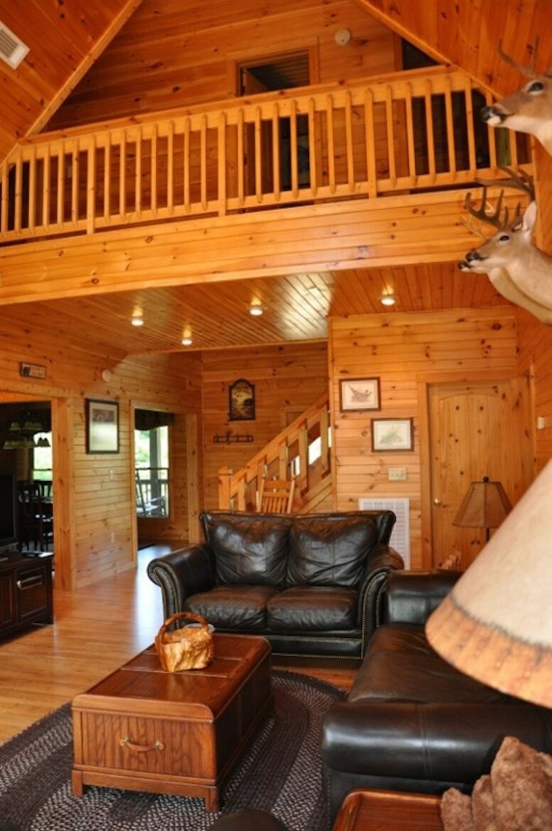 Mountain Lodge With Full Games Room! - Morganton, Georgia