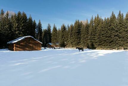 Eagle's Nest Lodge - Jackson, Wyoming
