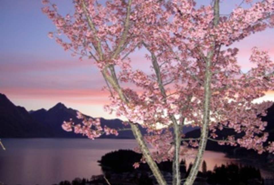 Queenstown Luxury Home - Queenstown, New Zealand