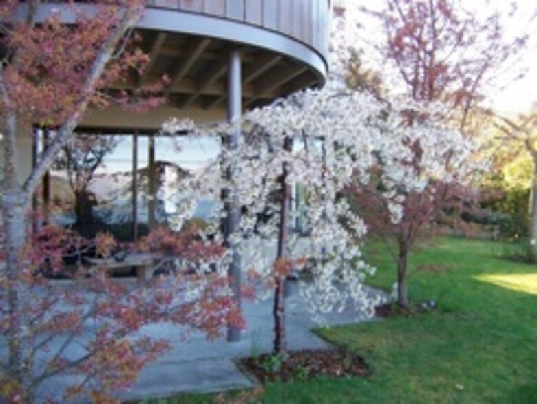 Queenstown Luxury Home - Queenstown, New Zealand