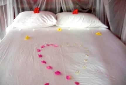 Moon Hill - Kingston, Jamaica