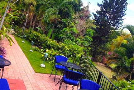 Moon Hill - Kingston, Jamaica