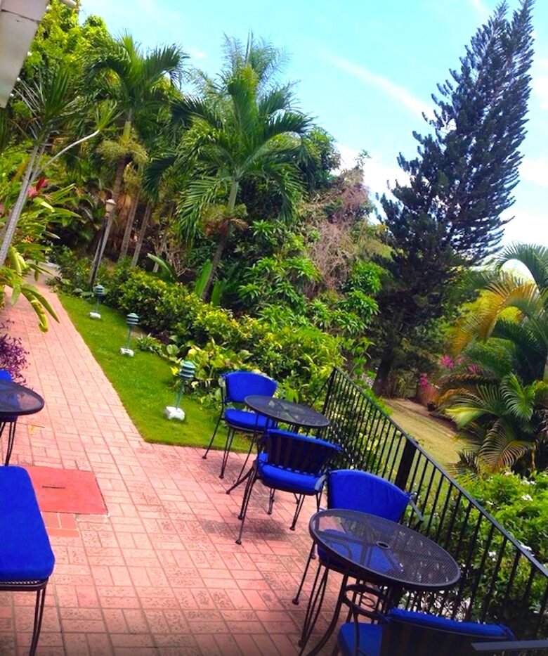 Moon Hill - Kingston, Jamaica