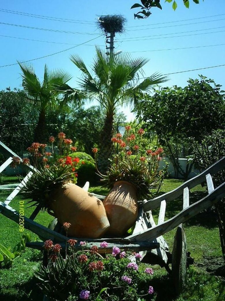 Dalyan Jewel - Dalyan, Türkiye