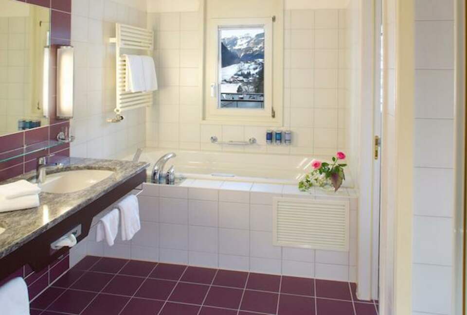 Home Exchange in Bern, Switzerland